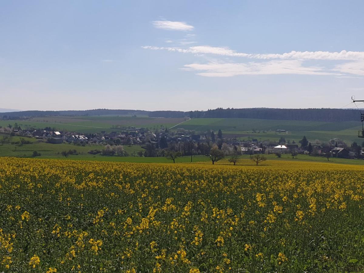 Pension Zum Adler Limbach  Extérieur photo
